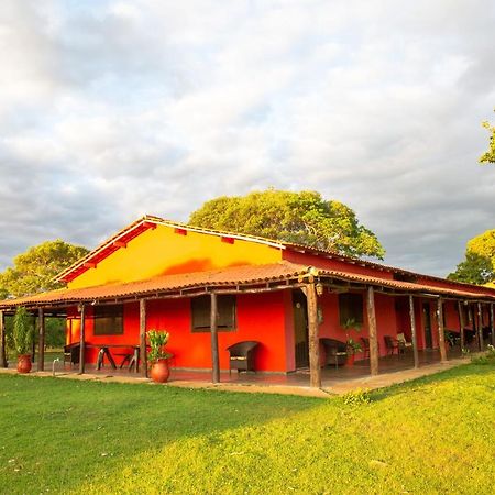 Southwild Pantanal Lodge Pixaim 외부 사진