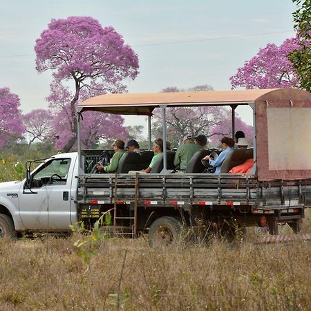 Southwild Pantanal Lodge Pixaim 외부 사진