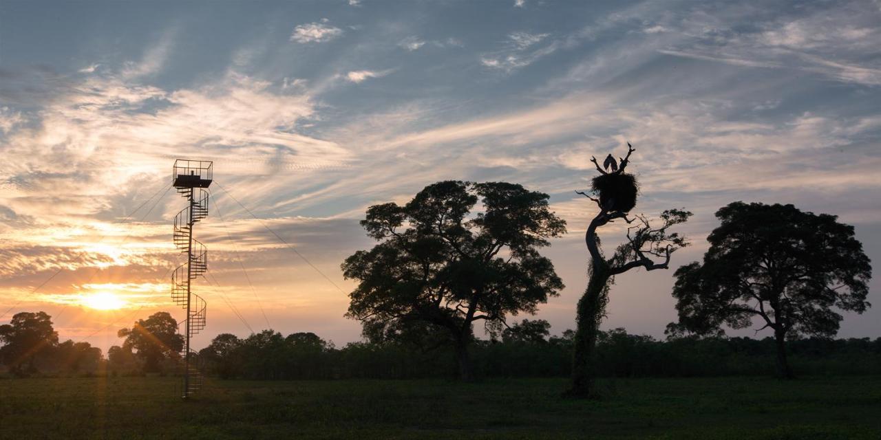 Southwild Pantanal Lodge Pixaim 외부 사진