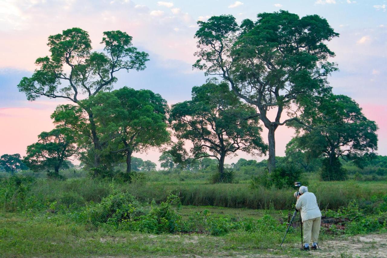 Southwild Pantanal Lodge Pixaim 외부 사진
