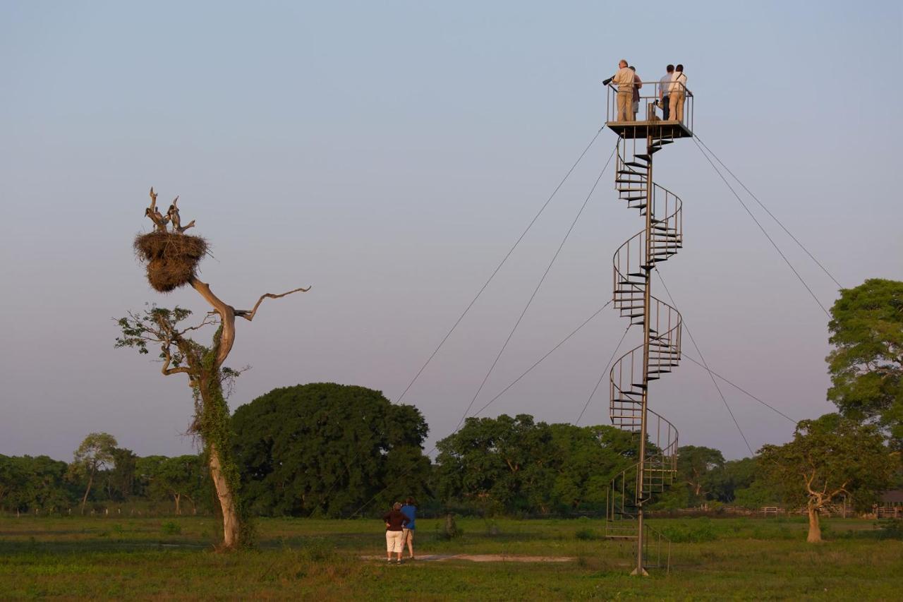 Southwild Pantanal Lodge Pixaim 외부 사진