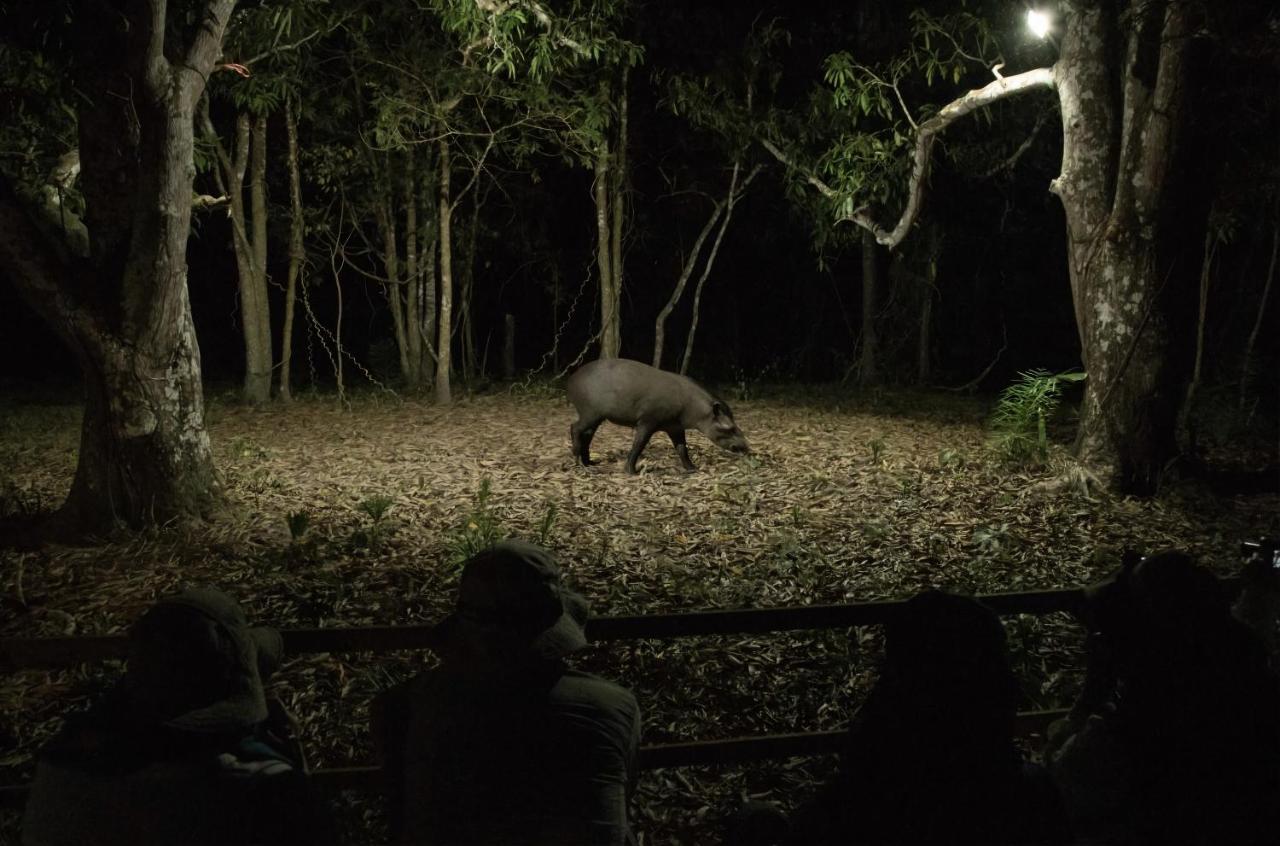 Southwild Pantanal Lodge Pixaim 외부 사진