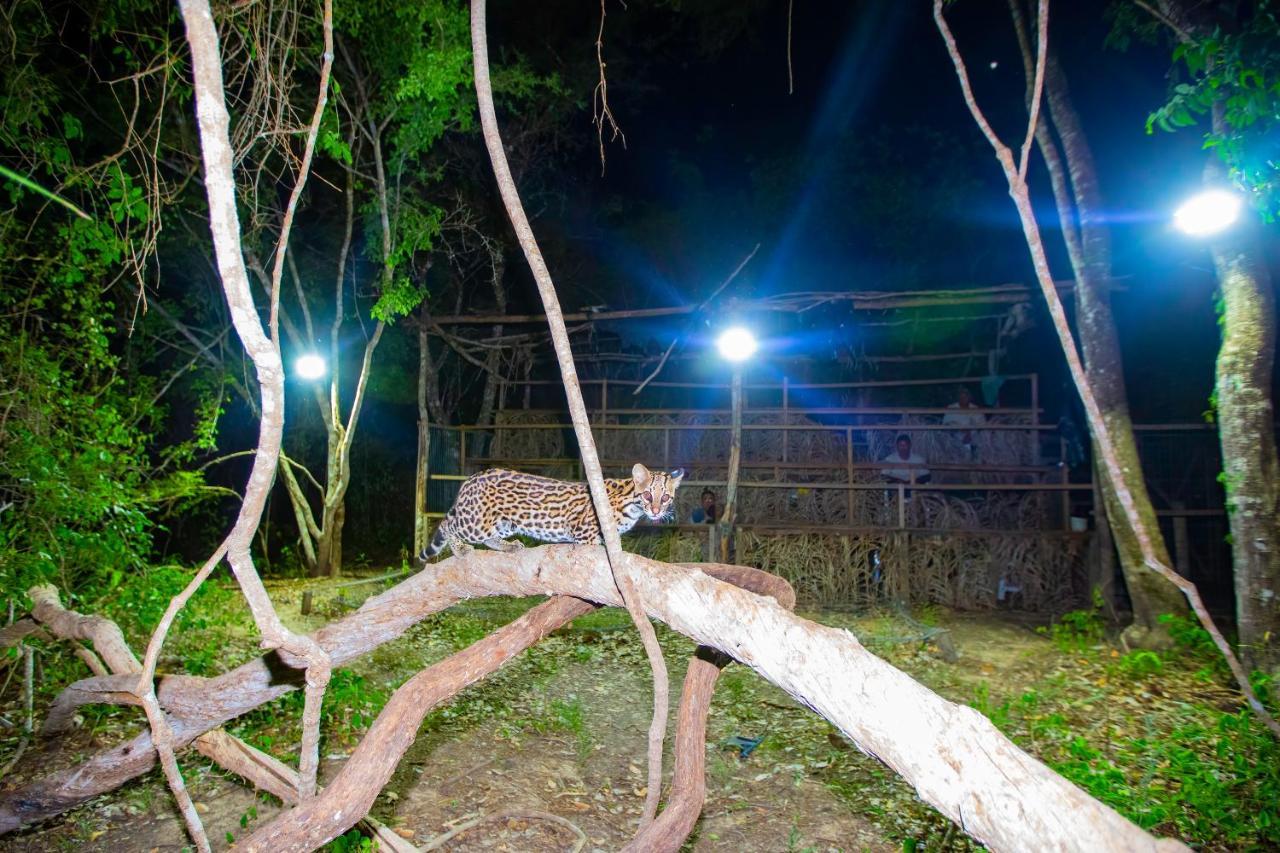 Southwild Pantanal Lodge Pixaim 외부 사진