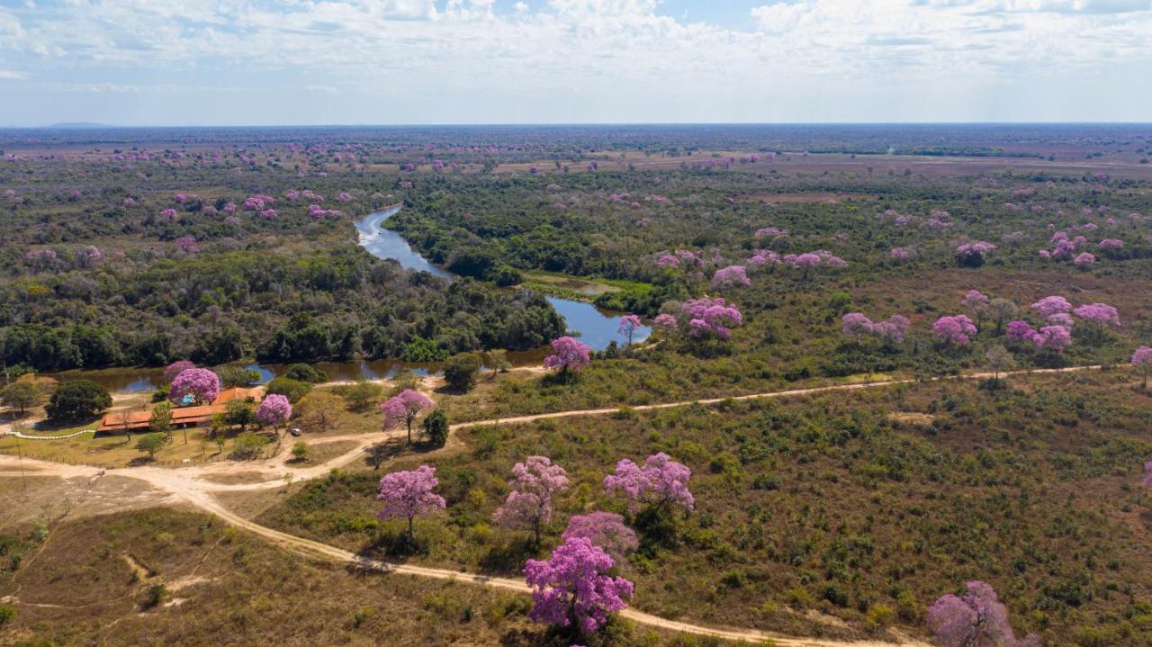Southwild Pantanal Lodge Pixaim 외부 사진