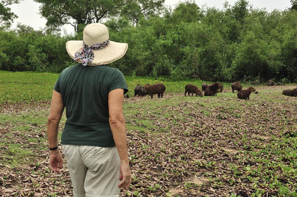 Southwild Pantanal Lodge Pixaim 외부 사진
