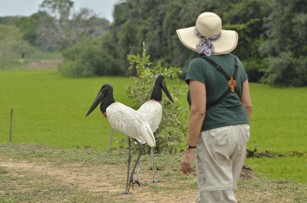 Southwild Pantanal Lodge Pixaim 외부 사진