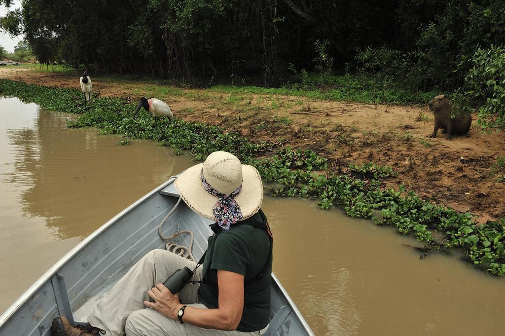 Southwild Pantanal Lodge Pixaim 외부 사진