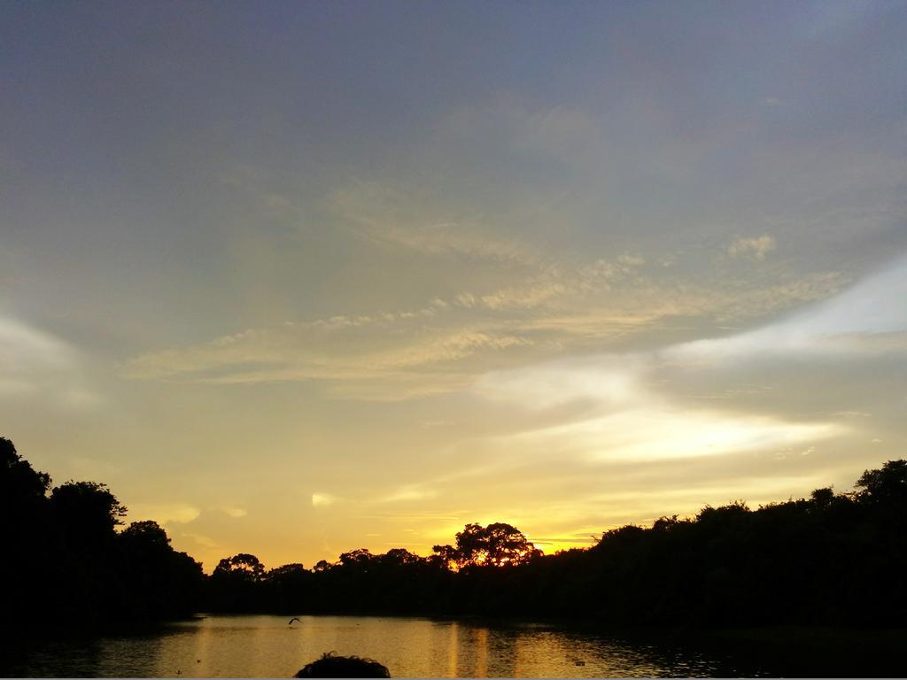 Southwild Pantanal Lodge Pixaim 외부 사진
