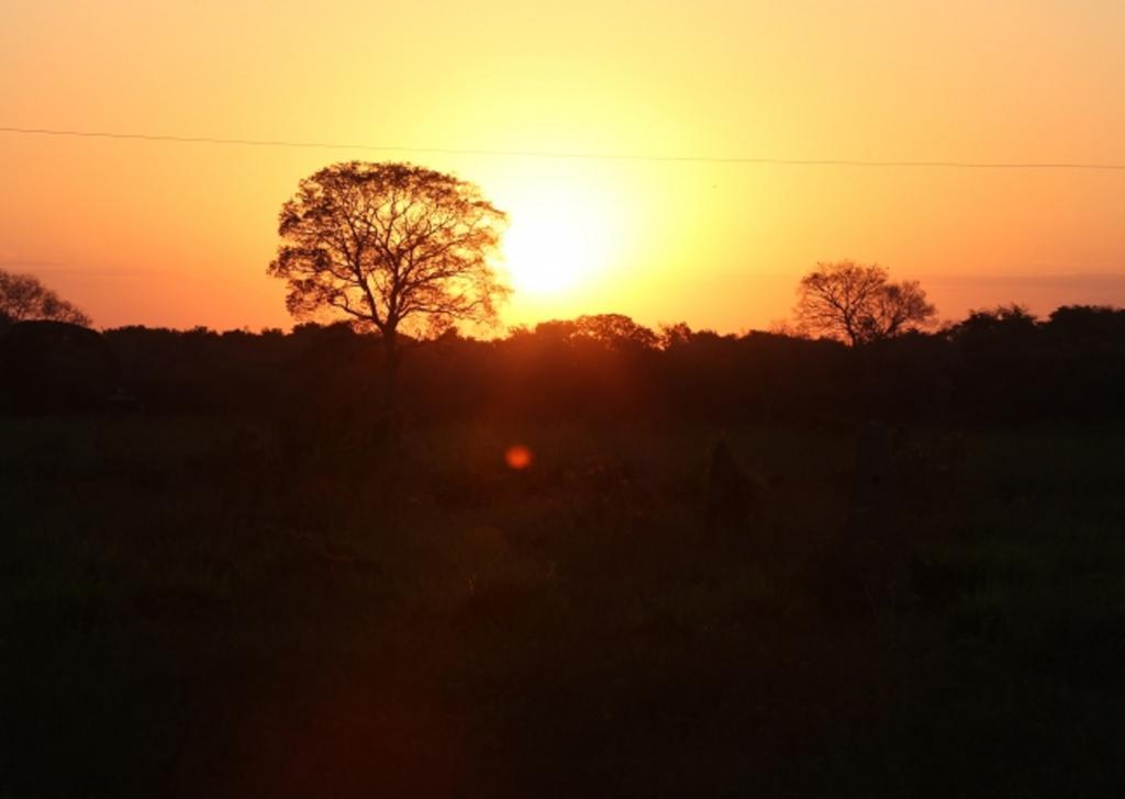 Southwild Pantanal Lodge Pixaim 외부 사진