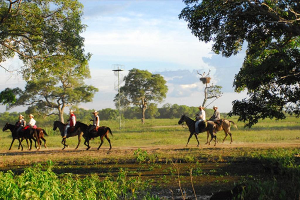 Southwild Pantanal Lodge Pixaim 외부 사진
