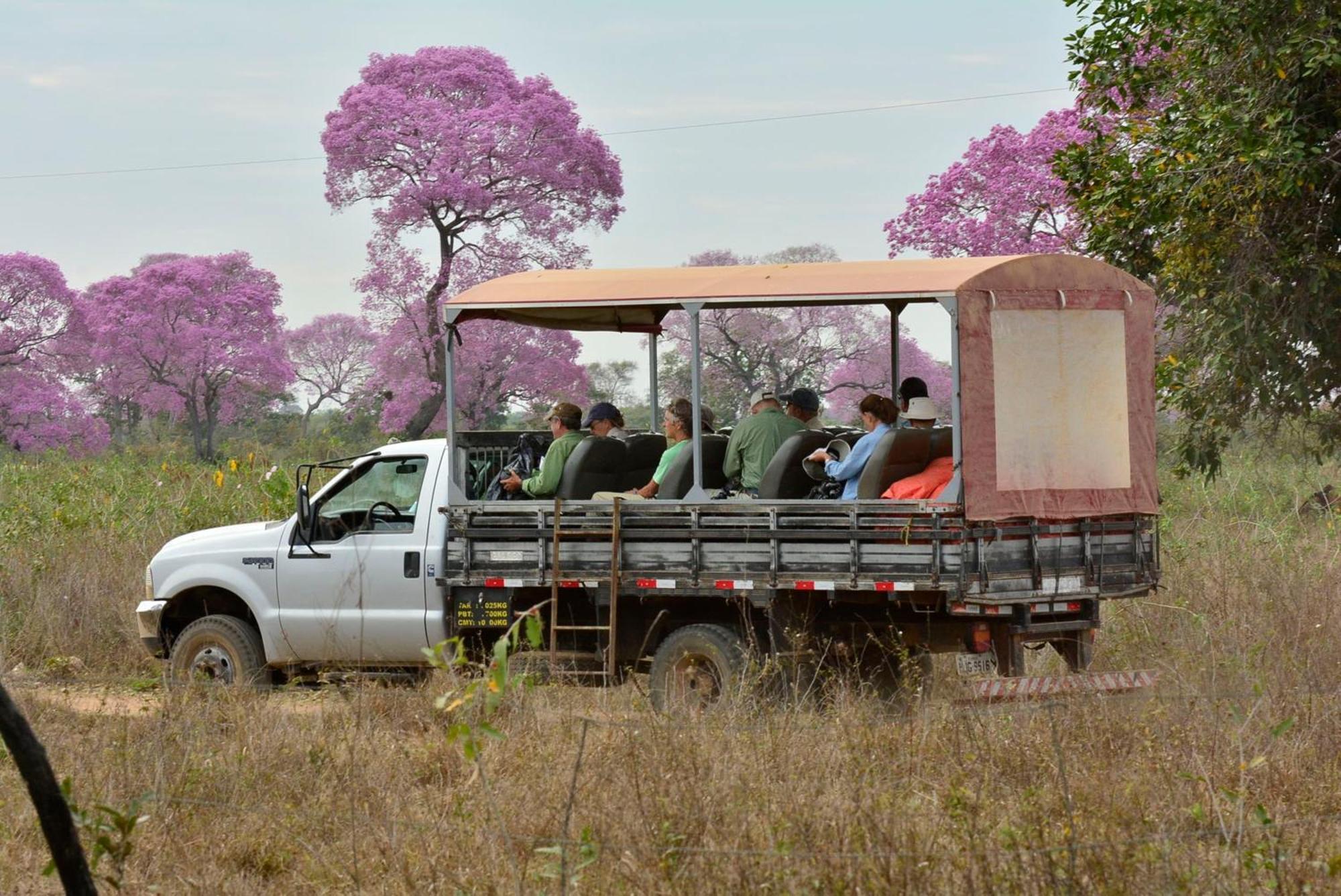 Southwild Pantanal Lodge Pixaim 외부 사진